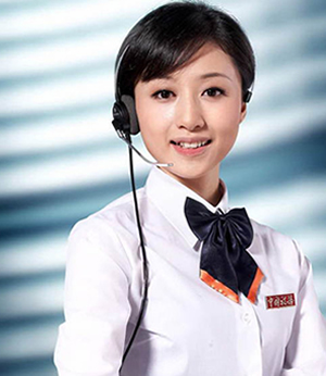 技術(shù)服務(wù)與咨詢(xún)